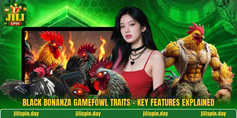 Black Bonanza Gamefowl Traits - Key Features Explained