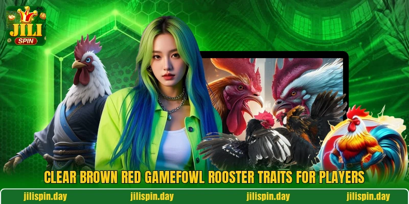 Clear brown red gamefowl rooster traits for players