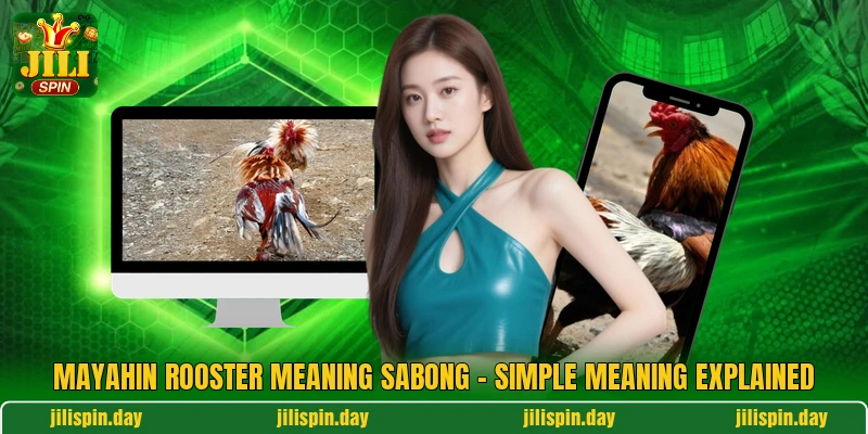 Mayahin Rooster Meaning Sabong - Simple Meaning Explained